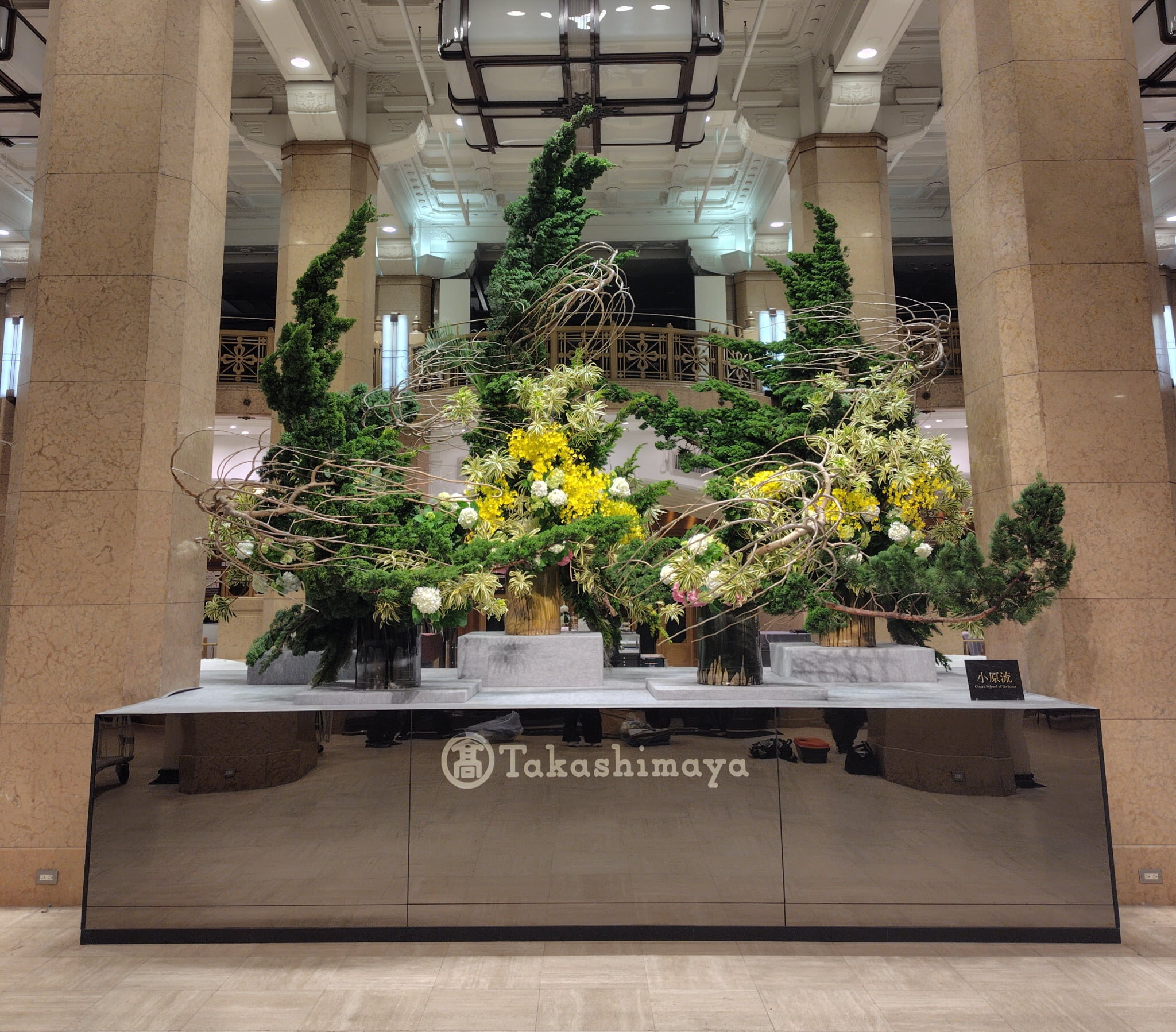 第58回日本いけばな芸術展 日本橋髙島屋正面玄関に作品を挿花しました